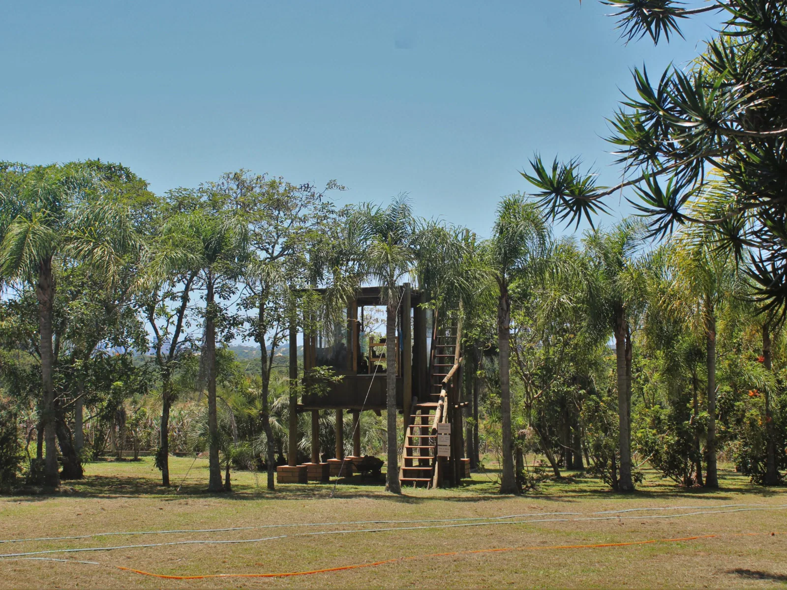 Wooden lookout at Sítio Jerivá surrounded by palm trees